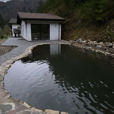 Котедж Mizhhirya  Экстерьер фото