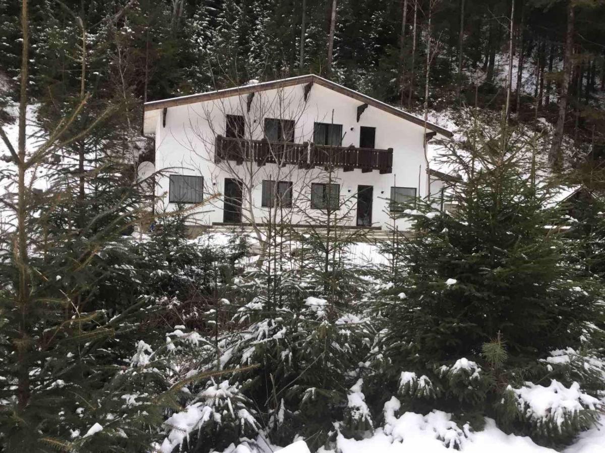 Котедж Mizhhirya  Экстерьер фото